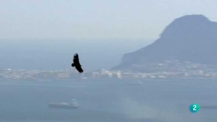 Biodiario - Biodiario - 18/11//11