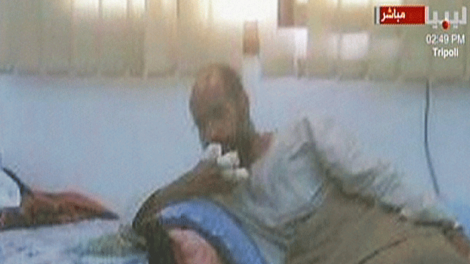 Detienen a Saif al Islam | Ver