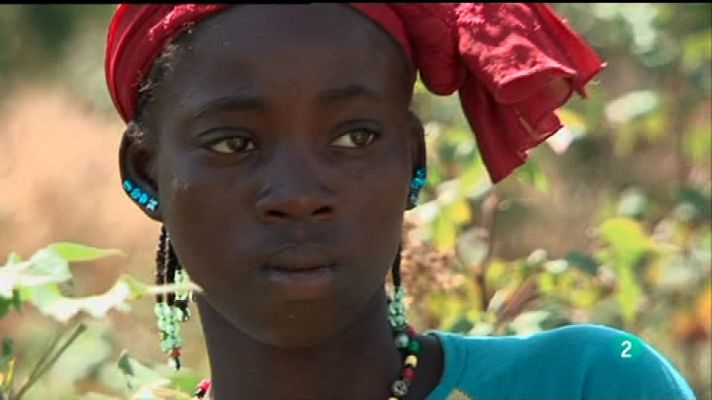 La noche temática - El algodón, cara oculta del oro...