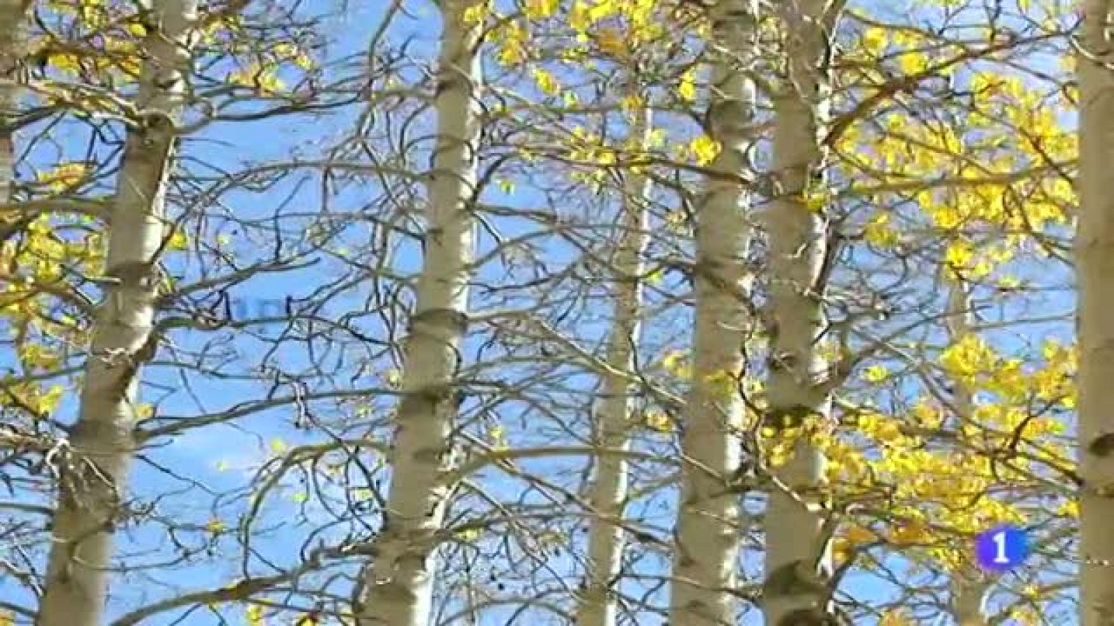 El tiempo en Galicia - 21/11/11