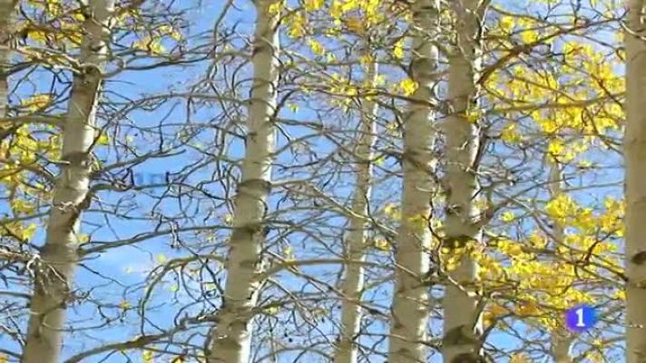 Telexornal - Galicia - El tiempo en Galicia - 21/11/11