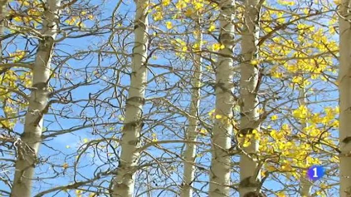 Telexornal - Galicia - El tiempo en Galicia - 22/11/11