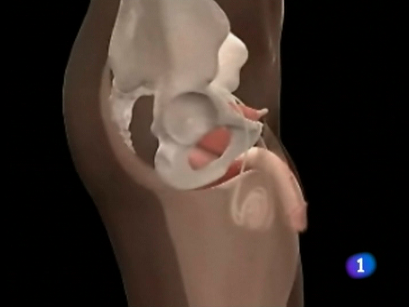 Panorama Regional - 22/11/11 | Ver