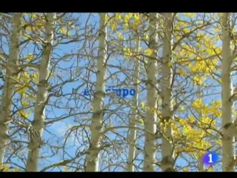 El tiempo en la Región de Murcia.(22/11/2011).