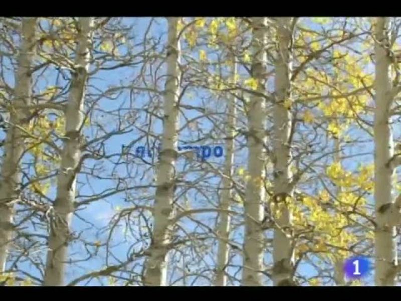 El tiempo en Castilla y León - 22/11/11