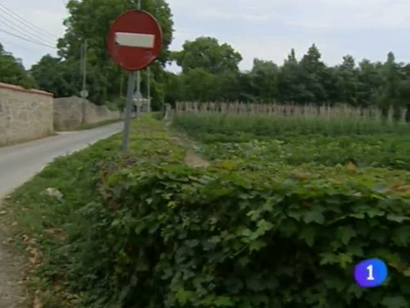 Telenavarra - 22/11/11 | Ver