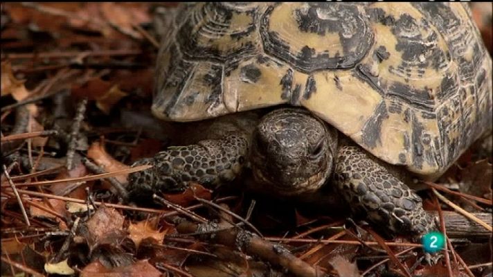 Biodiario - Biodiario - 22/11/11