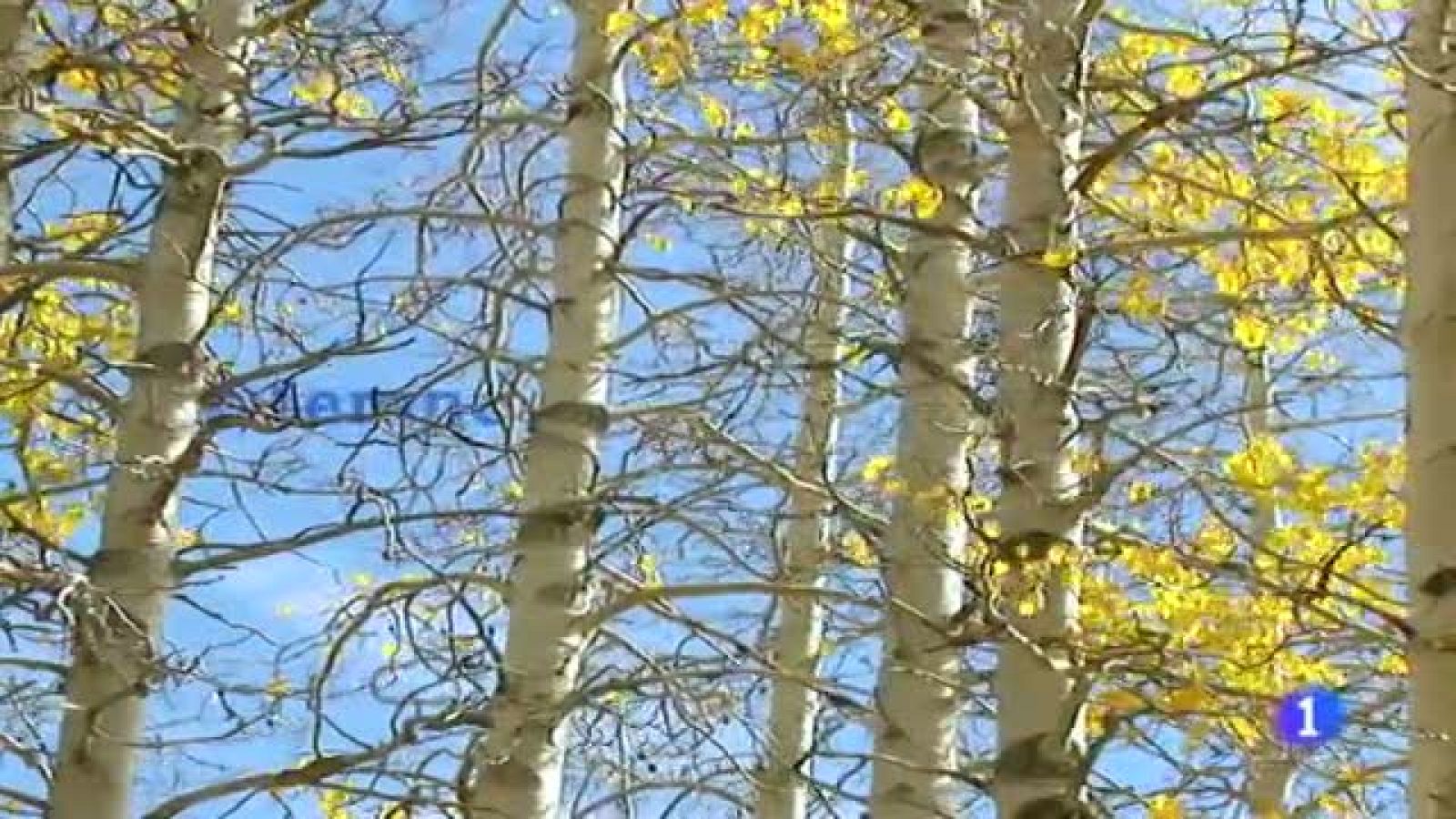 El tiempo en Galicia - 23/11/11