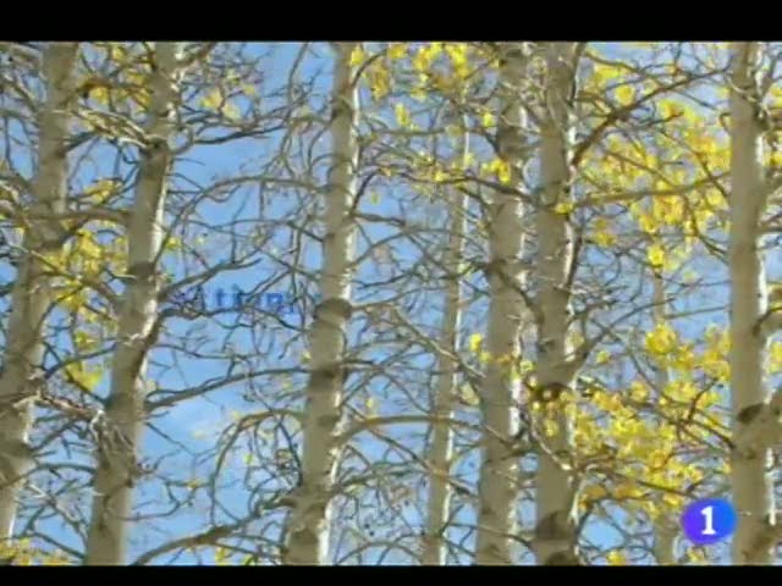 El tiempo en Andalucía - 23/11/11 | Ver