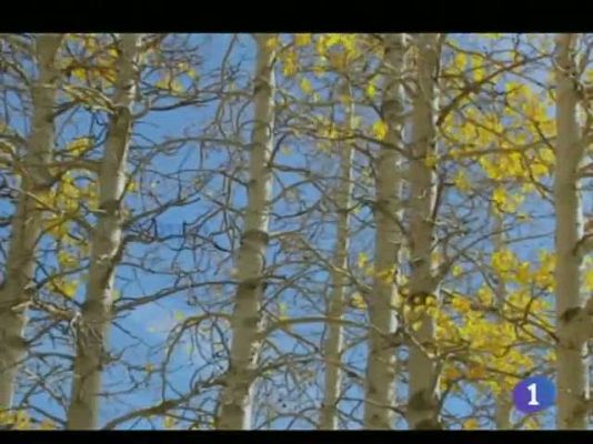 Noticias de Castilla-La Mancha - El tiempo en Castilla-La Mancha - 23/11/11