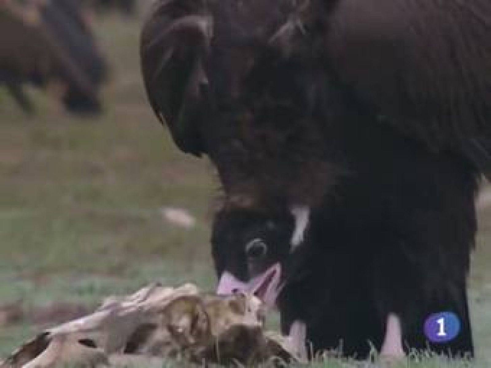 Noticias de Castilla-La Mancha