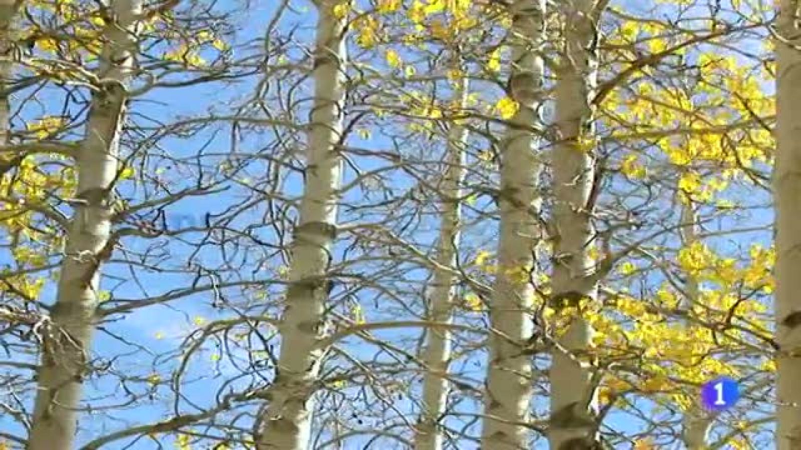 El tiempo en Galicia - 24/11/11