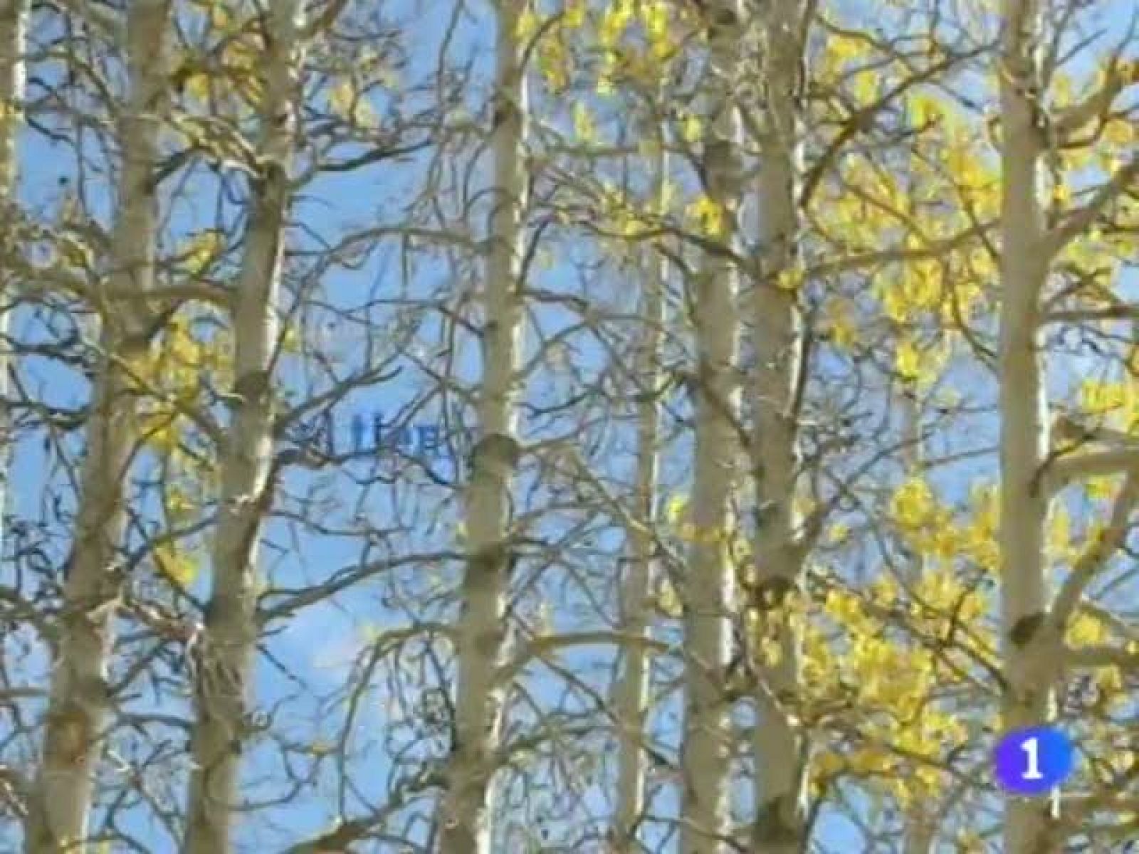 El tiempo en Andalucía - 24/11/11 | Ver