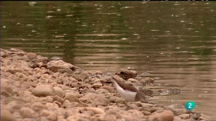 Biodiario - Biodiario - 24/11/11