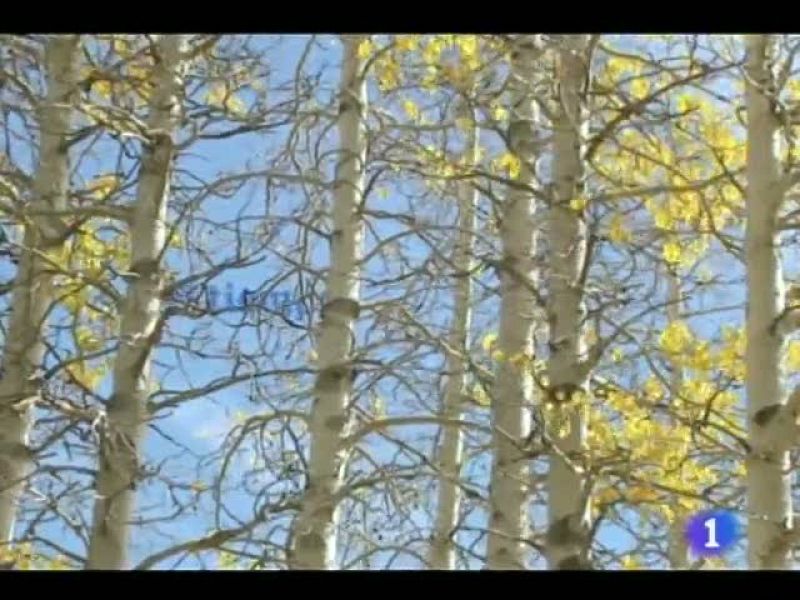 El tiempo en Castilla y León - 25/11/11