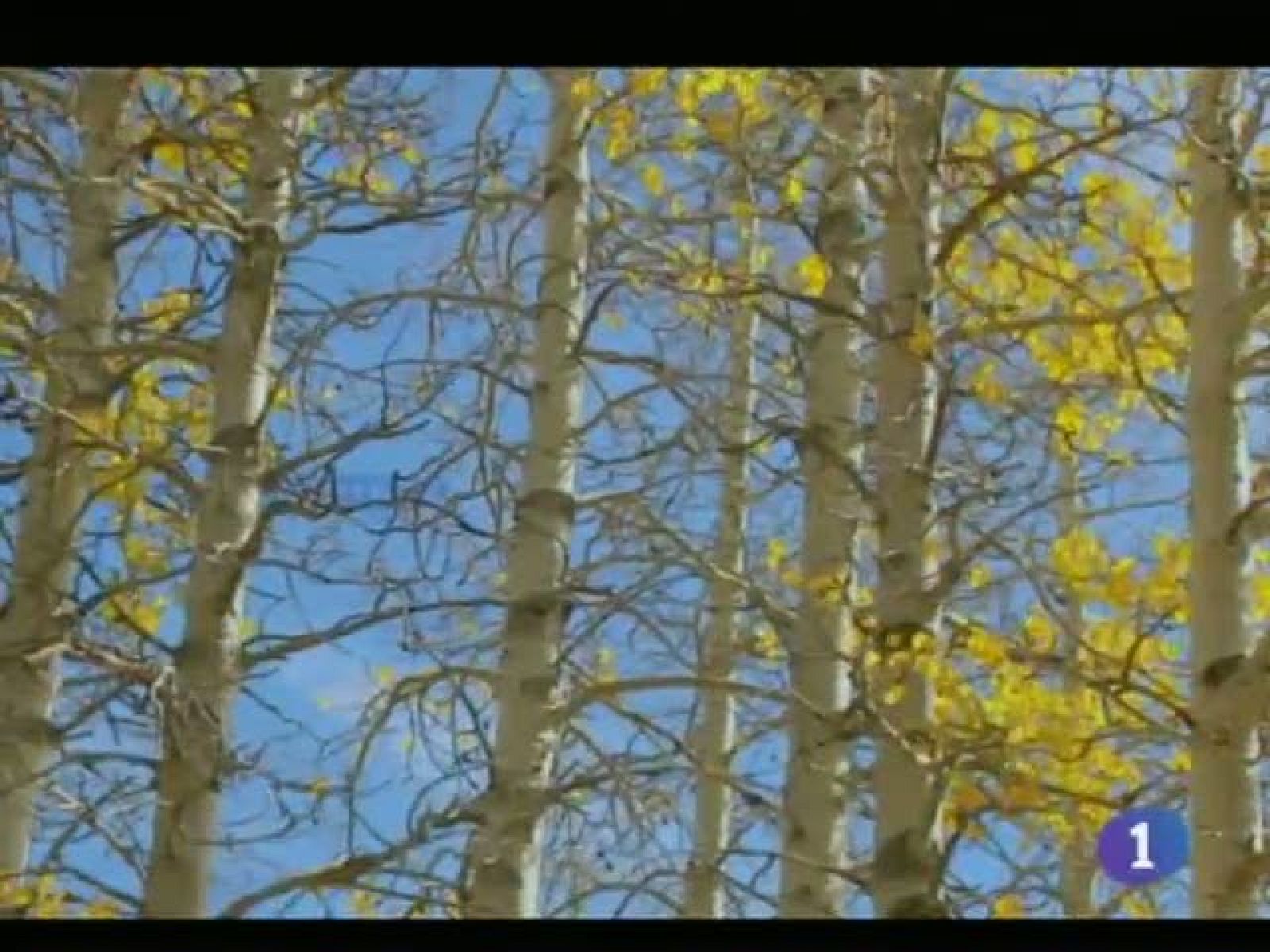 El tiempo en Castilla-La Mancha - 25/11/11 | Ver