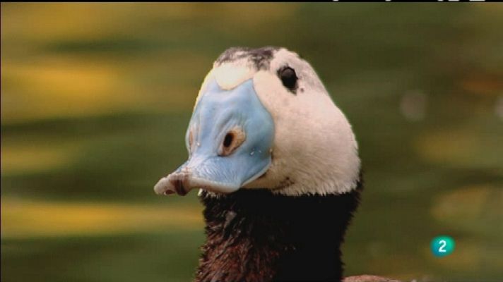 Biodiario - Biodiario - 25/11/11