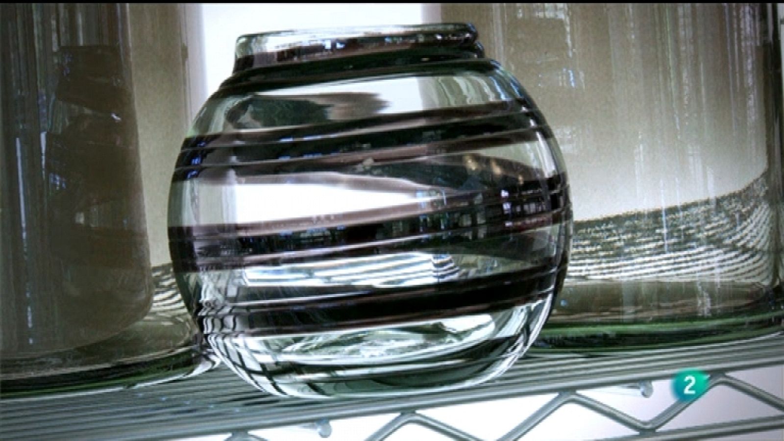 El exportador - 26/11/11 - Ver ahora