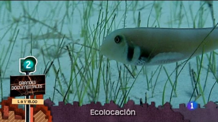 Lo que hay que ver ... - Lo que hay que ver - 26/11/11