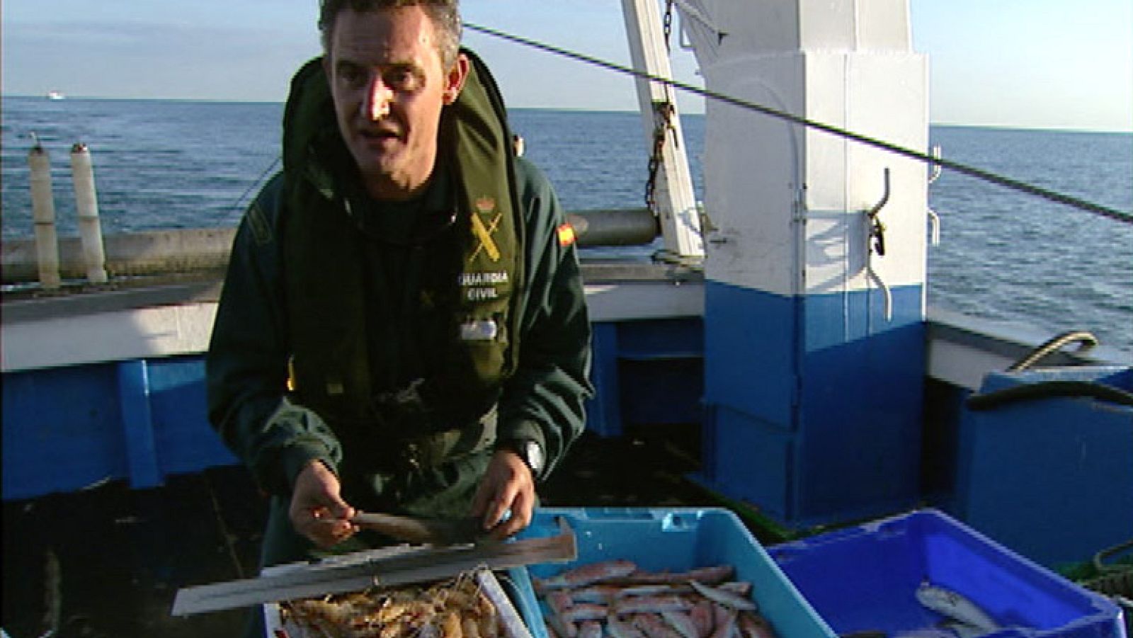 Inspecciones de control de pescados que no cumplen las tallas mínimas