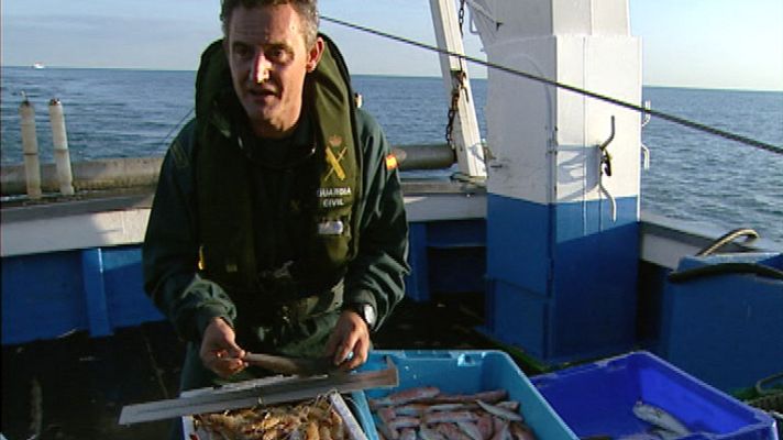 Telediario 1 - Inspecciones de pesca