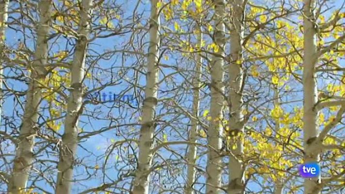 El tiempo - Cielos despejados en casi toda la península y fuertes lluvias en Ceuta y Melilla