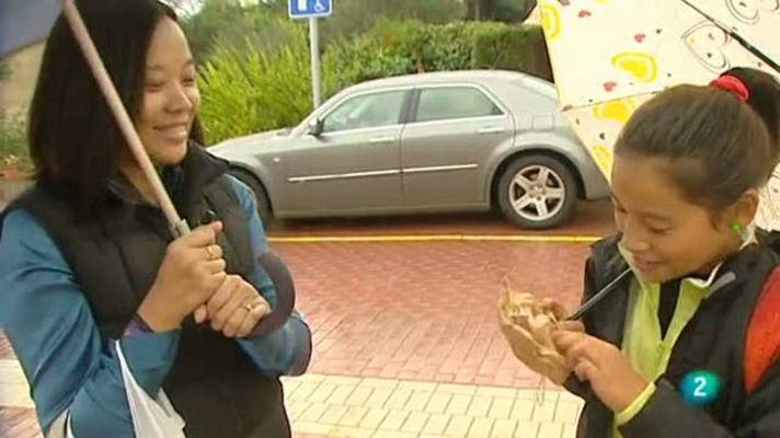 Babel en TVE - Babel en TVE - Reportaje: Un mundo de colores