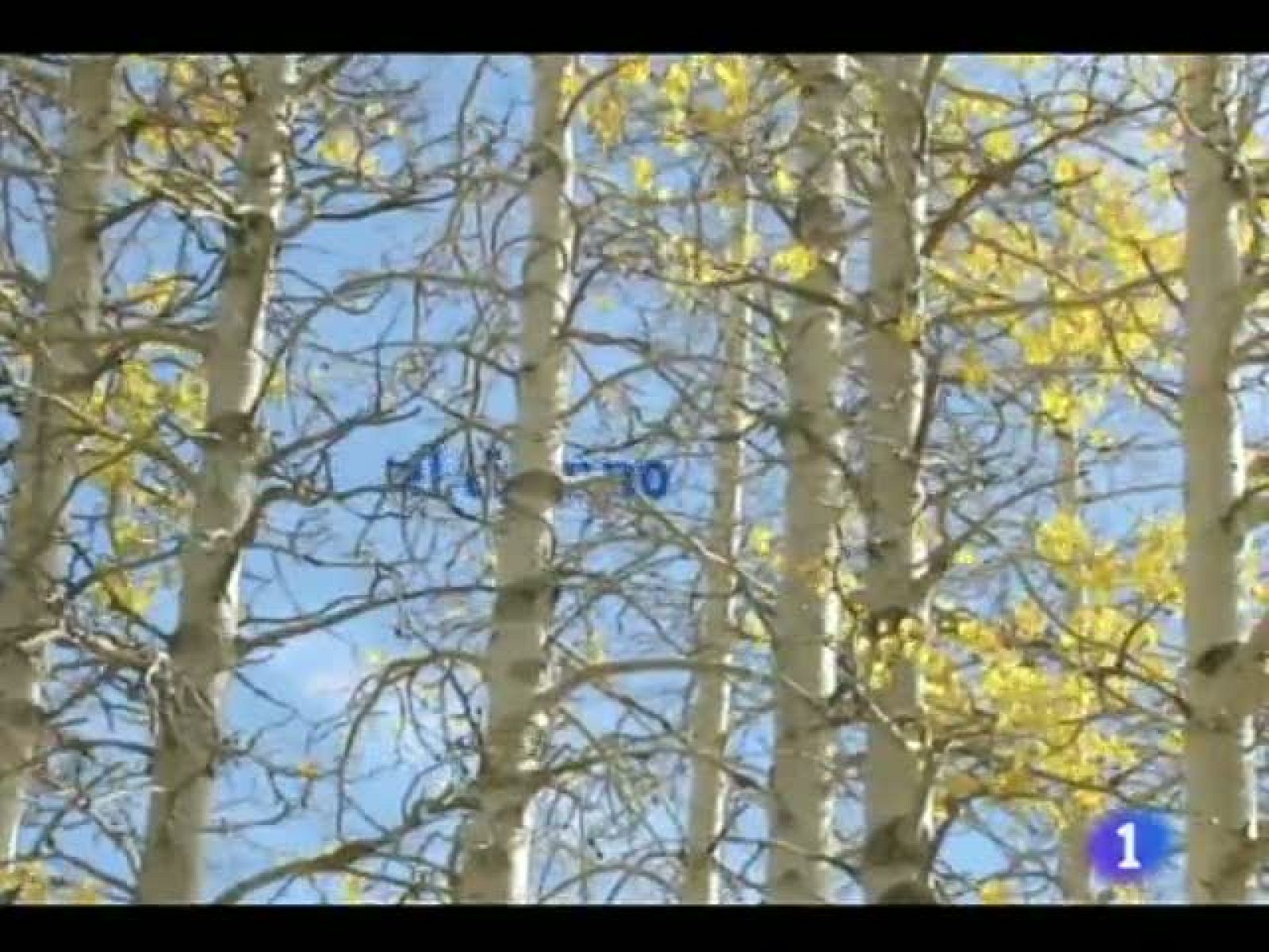 El tiempo en Castilla y León - 28/11/11