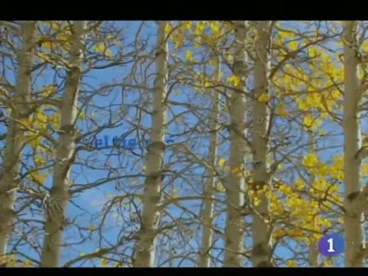 Noticias de Castilla-La Mancha - El tiempo en Castilla-La Mancha - 28/11/11