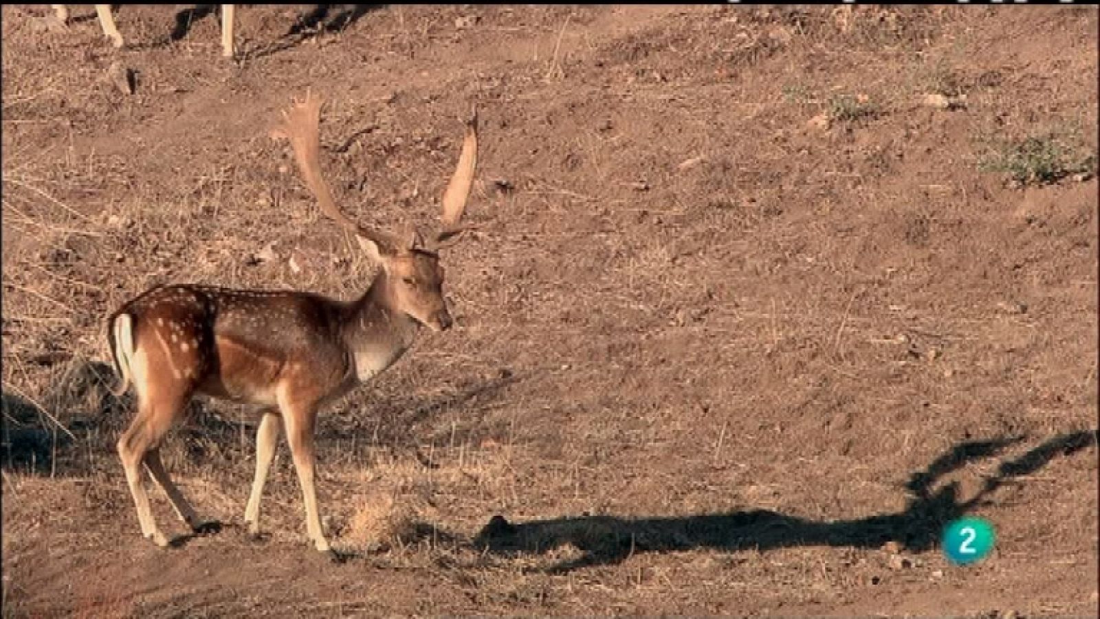 Biodiario - 28/11/11 - Ver ahora