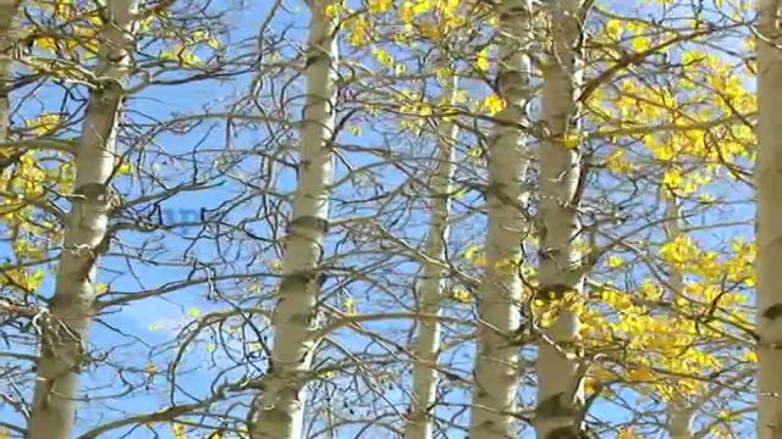 El tiempo en Galicia - 29/11/11