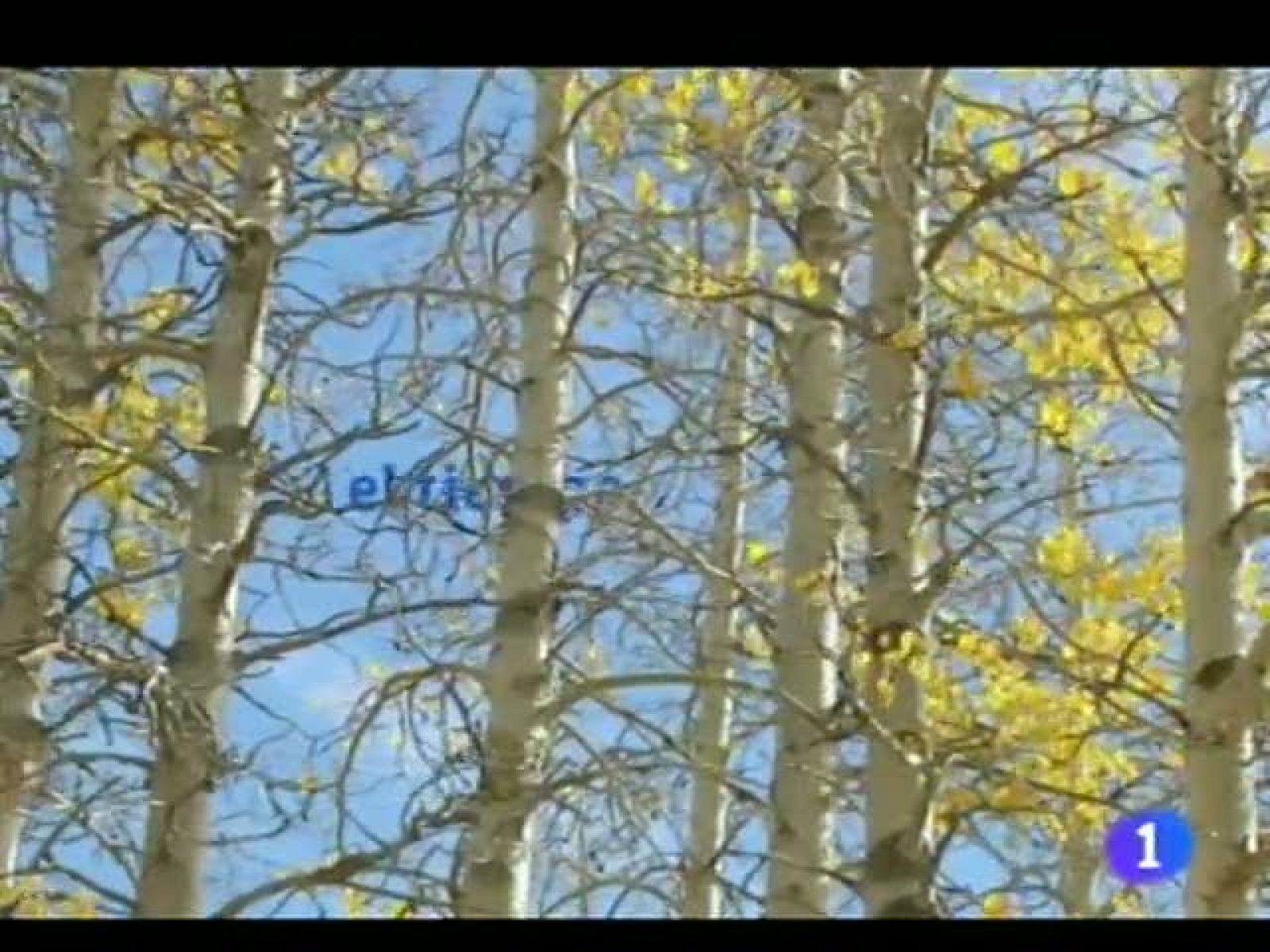 El tiempo en Andalucía - 29/11/11 | Ver