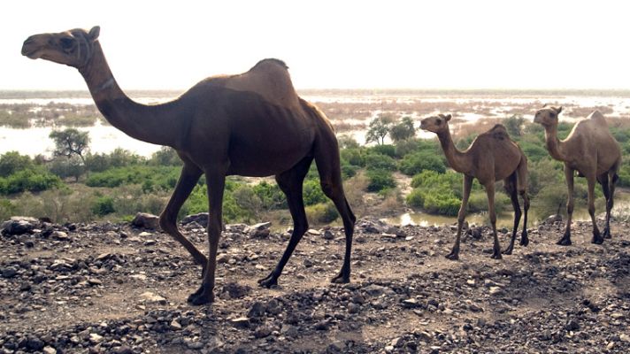 Buscamundos - Etiopía, el túnel del tiempo