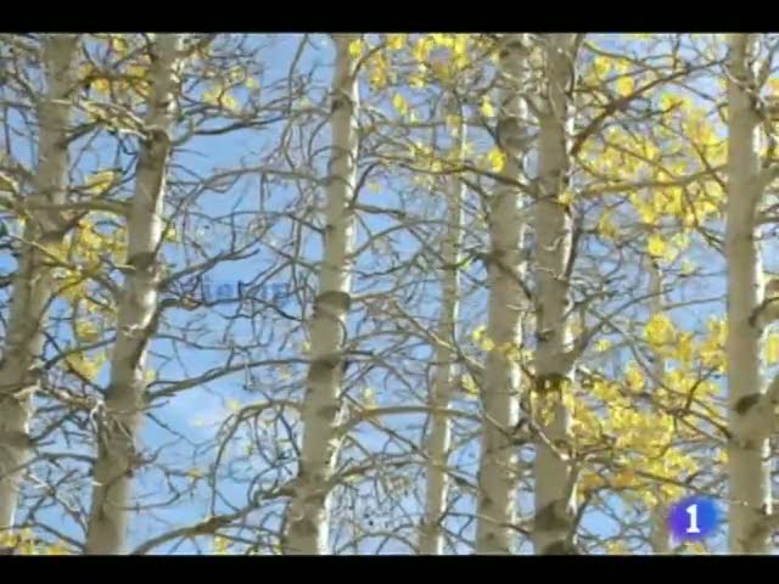 El tiempo en Castilla y León - 29/11/11