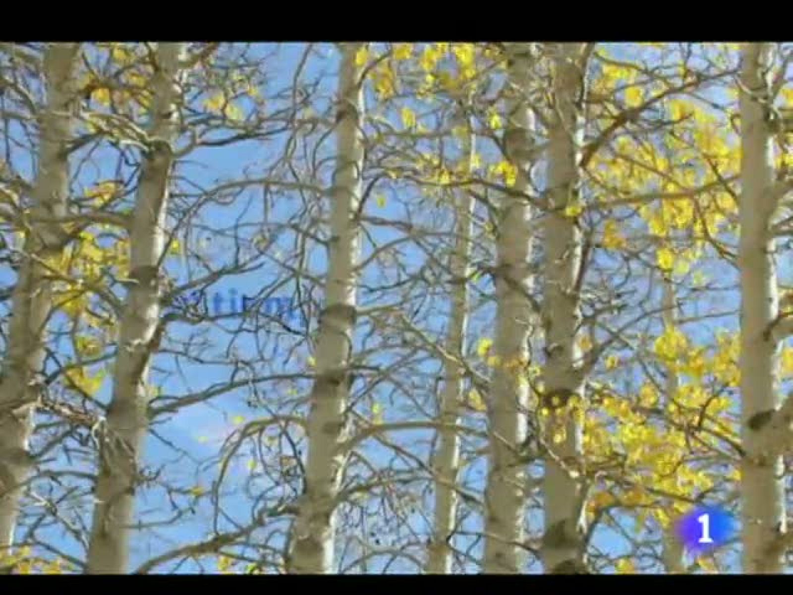 El tiempo en La Rioja - 30/11/11 | Ver