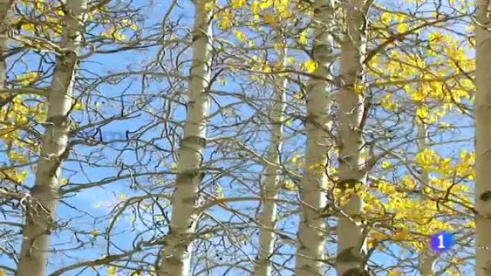 Telexornal - Galicia - El tiempo en Galicia - 01/12/11