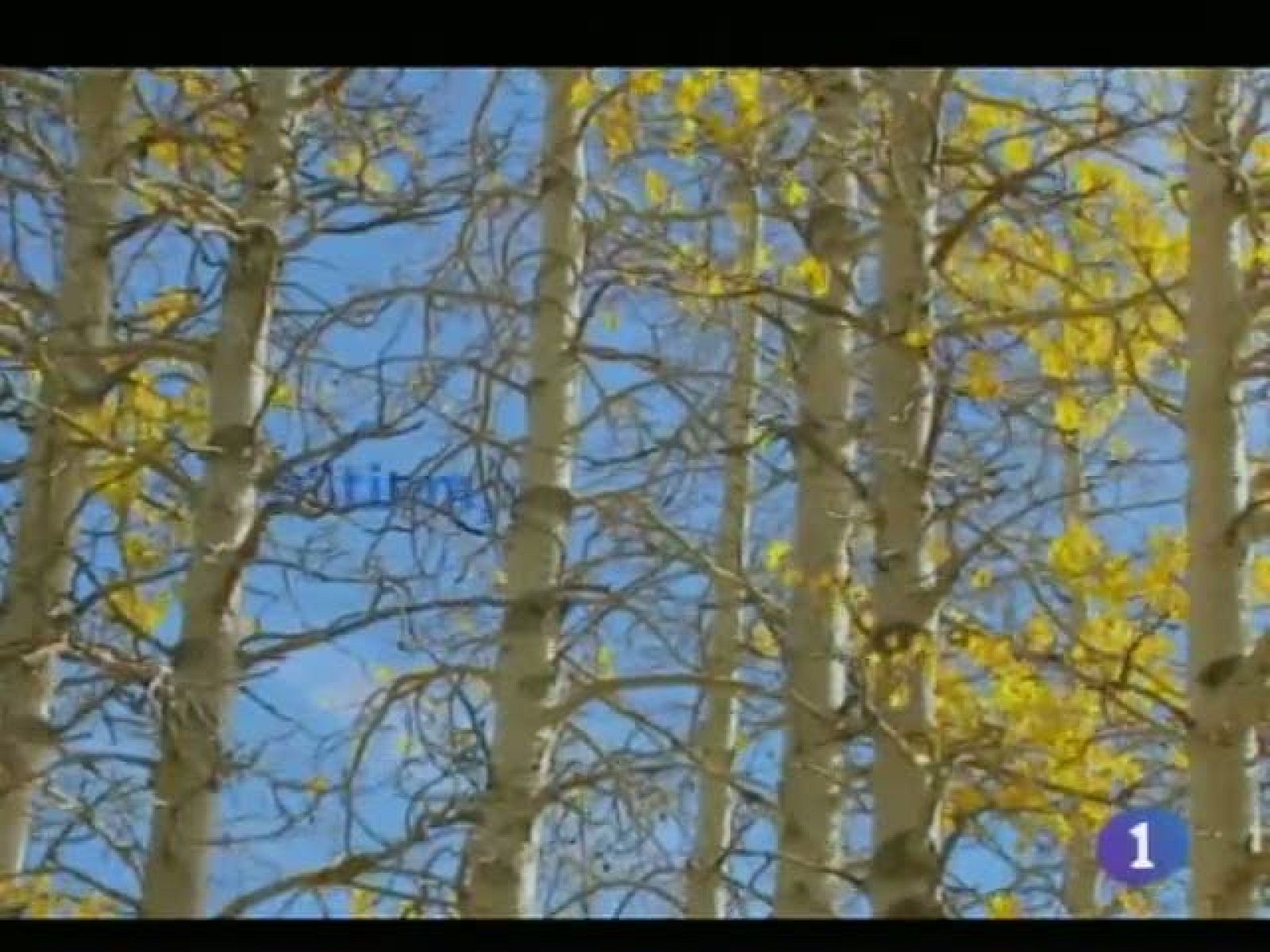 El tiempo en Castilla-La Manchas - 01/12/11 | Ver