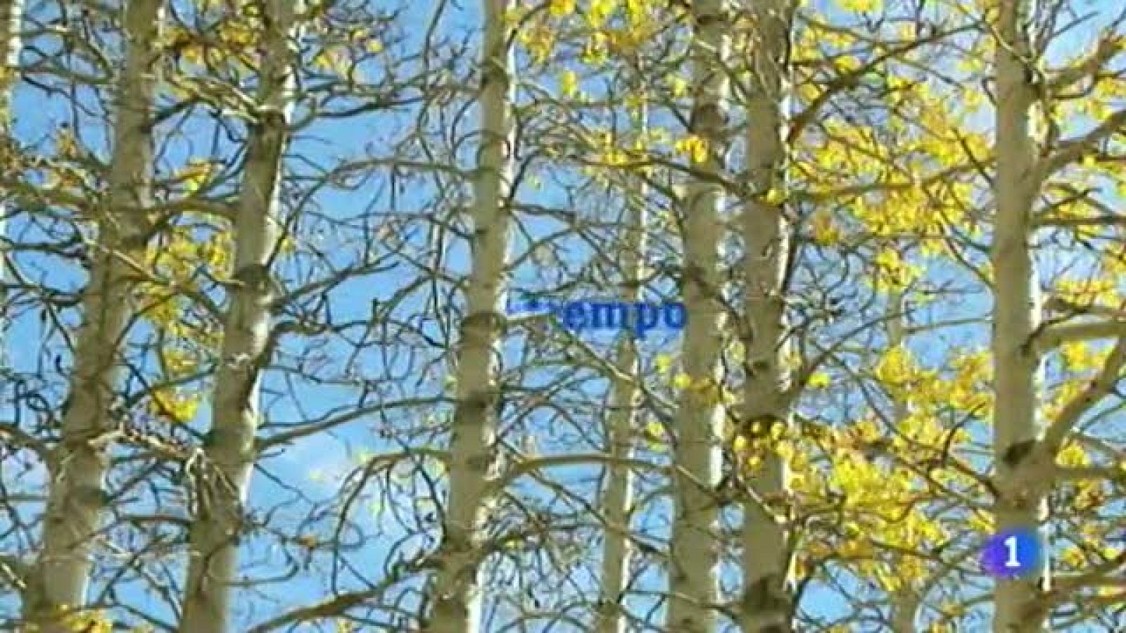 El tiempo en Canarias - 01/12/11 | Ver