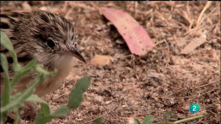 Biodiario - Biodiario - 01/12/11