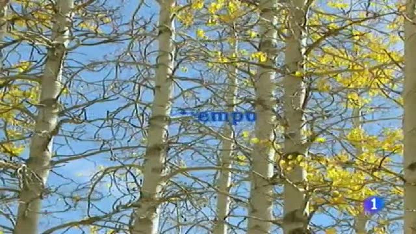 El tiempo en Canarias - 03/12/11 | Ver