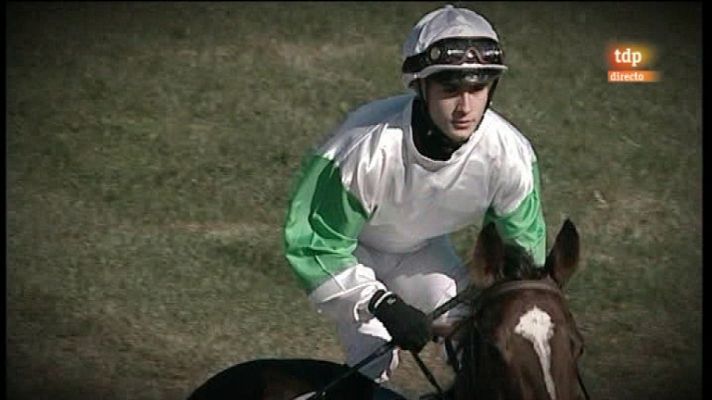 Turf - Turf - Carreras de caballos