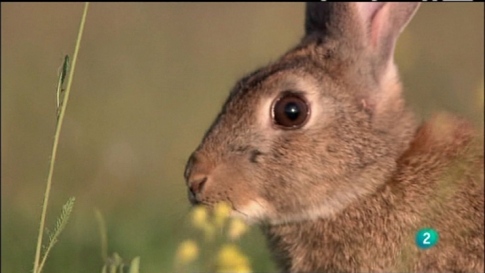 Biodiario - 04/12/11 - Ver ahora