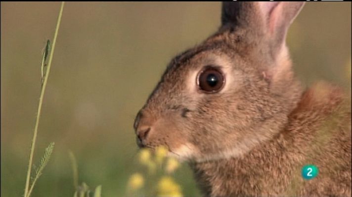 Biodiario - Biodiario - 04/12/11