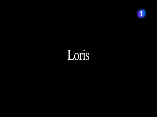  - Capirossi, la despedida de un mito