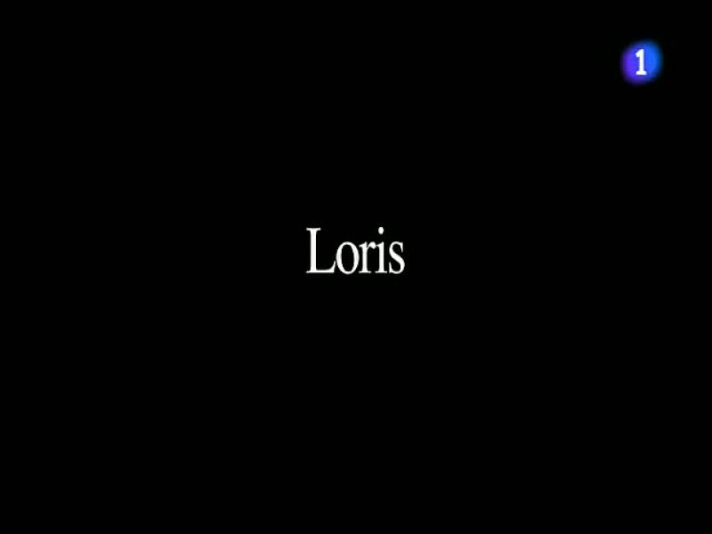 Capirossi, la despedida de un mito