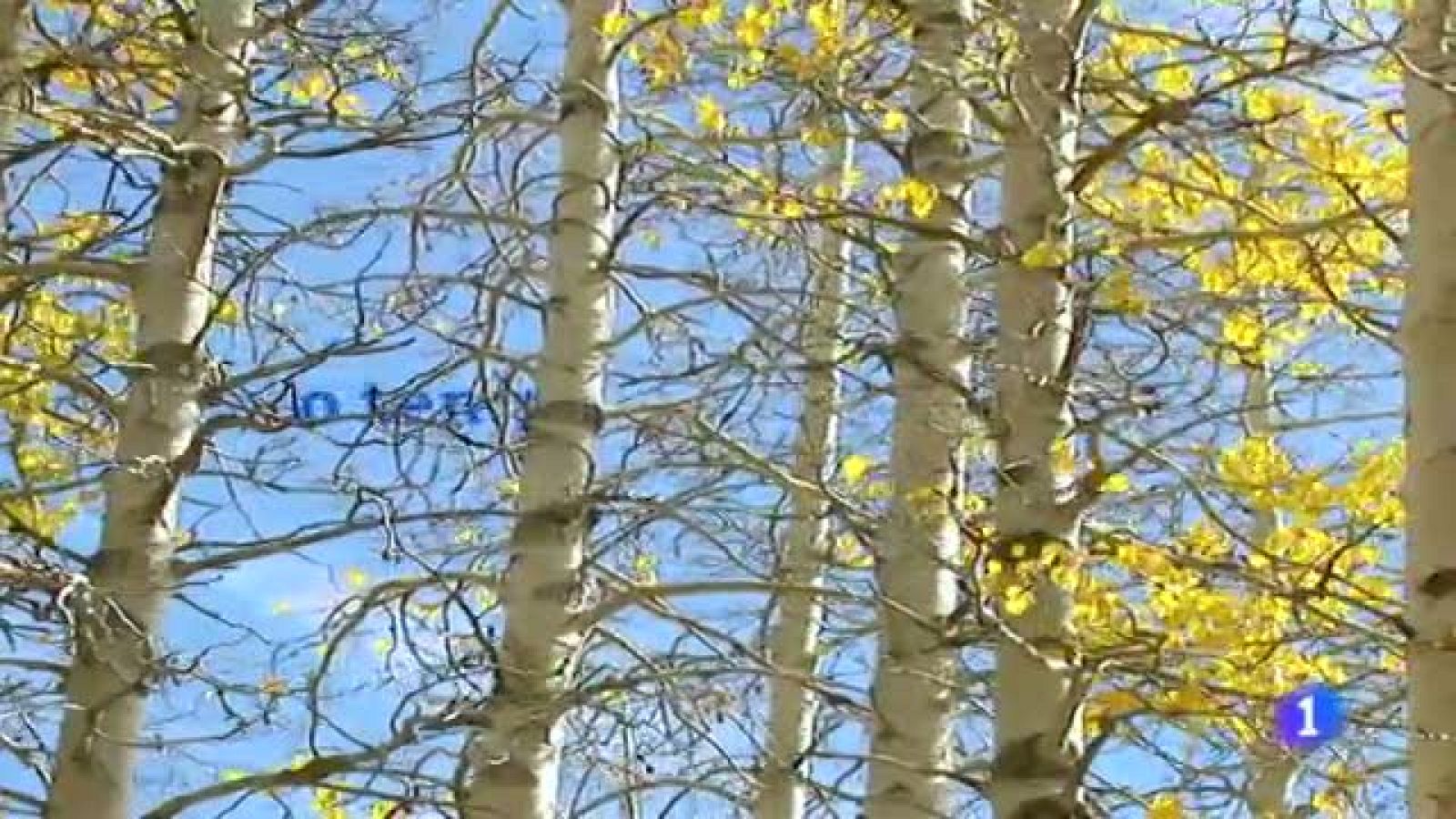 El tiempo en Galicia - 05/12/11