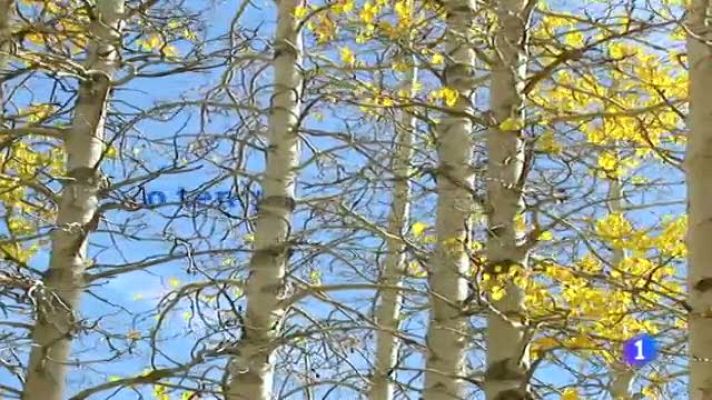 Telexornal - Galicia - El tiempo en Galicia - 05/12/11