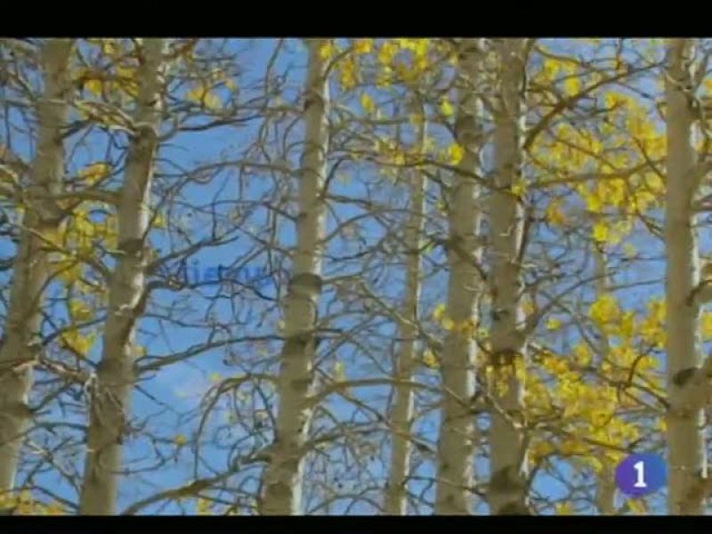 El tiempo en Castilla-La Mancha - 05/12/11 | Ver