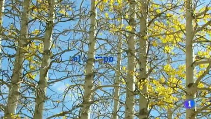 Telecanarias - El tiempo en Canarias - 05/12/11