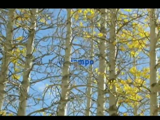 Noticias Murcia - El tiempo en la comunidad de Murcia. (07/12/2011).